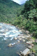 Bolivienreise unduavi river nah